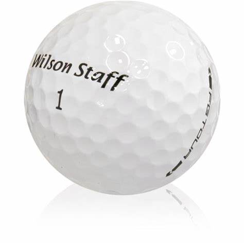 Wilson FG Tour